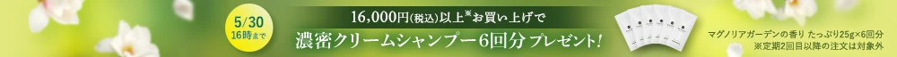 プレゼント