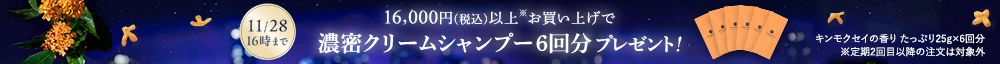 プレゼント
