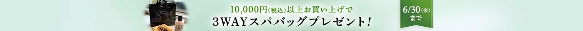 3WAY スパバッグプレゼント