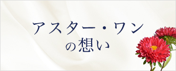 アスター・ワンの想い