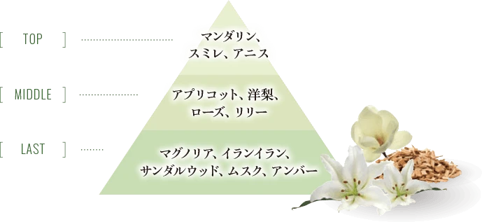 マグノリアガーデン　香りのイメージ図