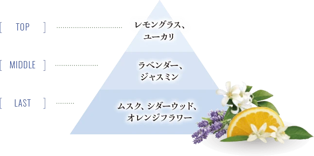ハーバルノート　香りのイメージ図