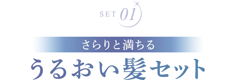 さらりと満ちる うるおい髪セット