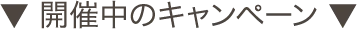 開催中のキャンペーン