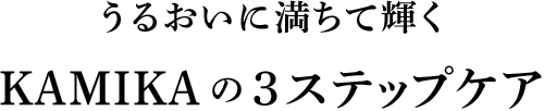 頭皮と髪の総合力