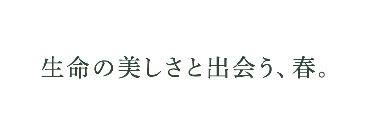 生命の美しさと出会う、春。