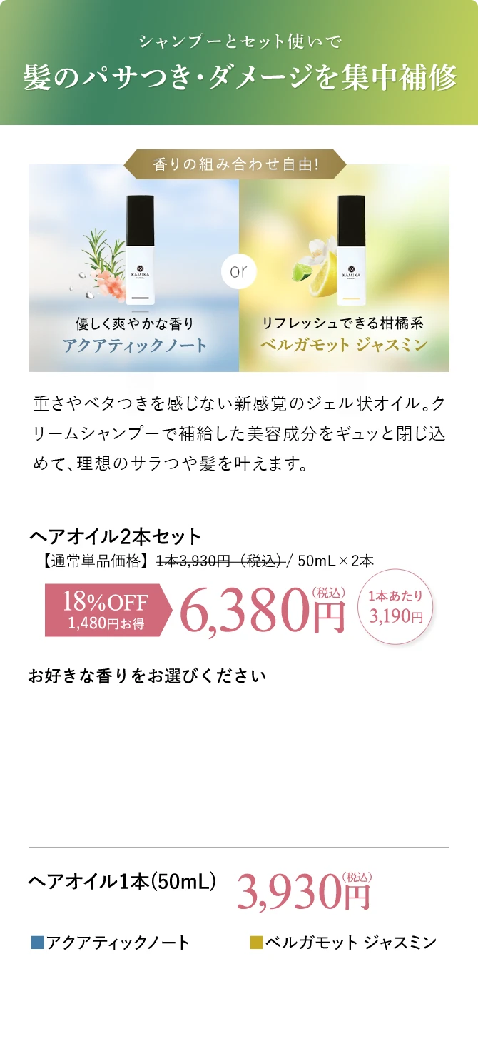 髪のパサツキ・ダメージを集中補修