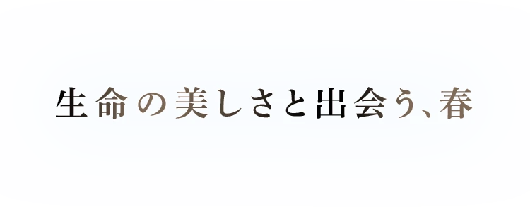 生命の美しさと出会う、春。
