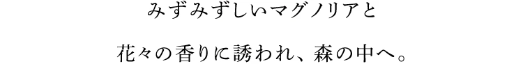 みずみずしいマグノリアと花々の香りに誘われ、森の中へ。