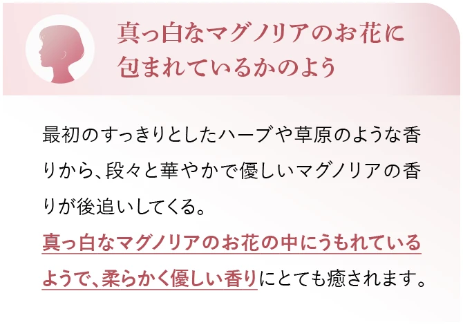 真っ白なマグノリアのお花に包まれているかのよう