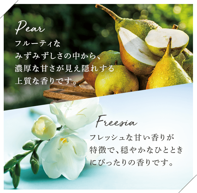 Pear…フルーティなみずみずしさの中から、濃厚な甘さが見え隠れする上質な香りです。/Freesia…フレッシュな甘い香りが特徴で、穏やかなひとときにぴったりの香りです。
