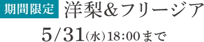 期間限定5/31（金）18:00まで