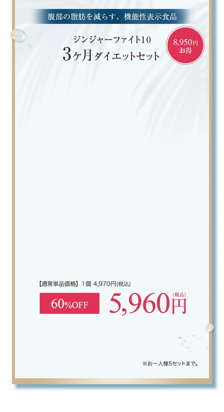 腹部の脂肪を減らす、機能性表示食品 ジンジャーファイト10 3ヶ月ダイエットセット