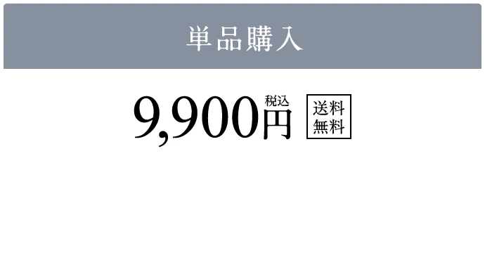 単品購入 9900円