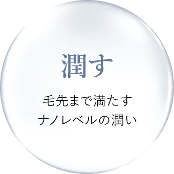 潤す毛先まで満たすナノレベルの潤い