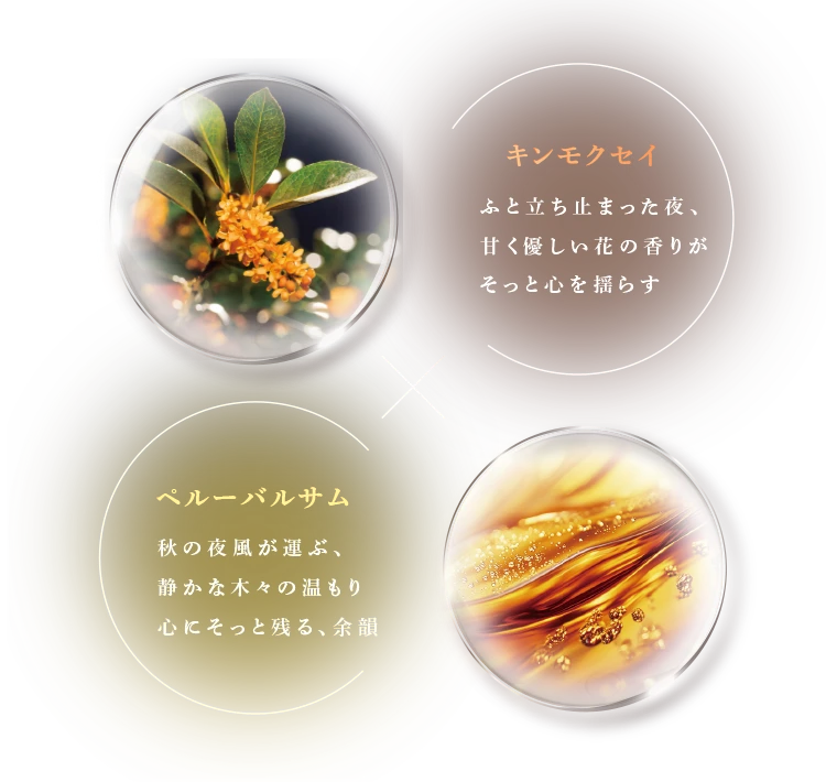 キンモクセイxペルーバルサム