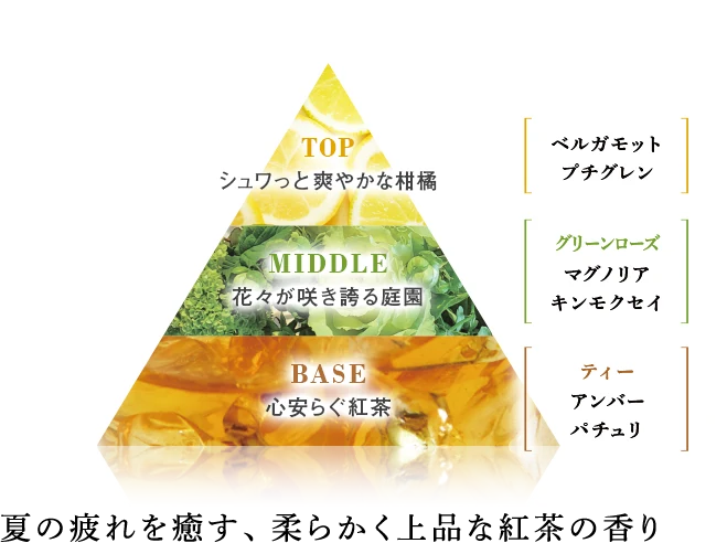 上品で奥深いローズ＆ウッド　TOP…つぼみを思わせる初々しい薔薇　MIDDLE…花束のように広がる薔薇のブーケ　BASE…落ち着きと深みのあるウッディ