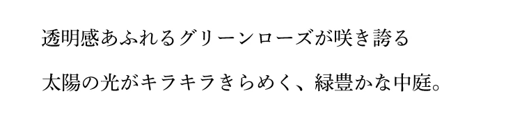 透明感あふれるグリーンローズが咲き誇る太陽の光がキラキラきらめく、緑豊かな中庭。