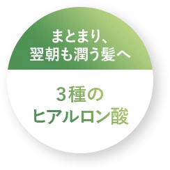 まとまり、翌朝も潤う髪へ