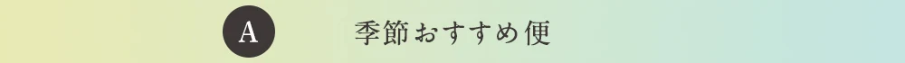 A季節おすすめ便