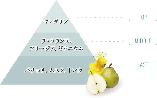 肌が喜ぶ植物エキスの美容成分